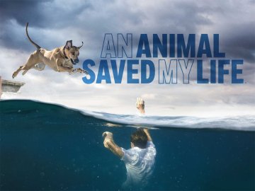 An Animal Saved My Life