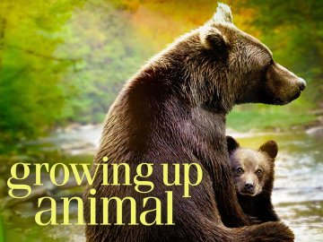 Growing Up Animal