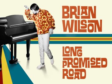 Brian Wilson: Long Promised Road
