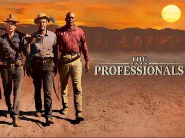 The Professionals