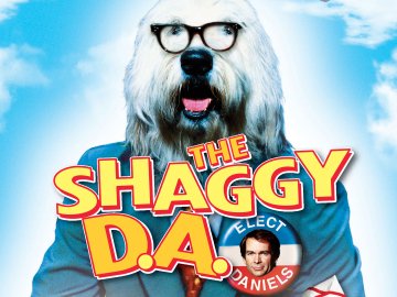 The Shaggy D.A.