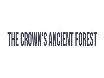 The Crown's Ancient Forest