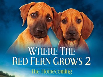 Where the Red Fern Grows---Part 2