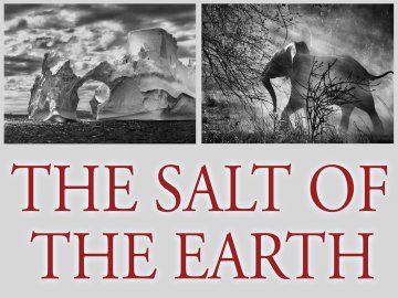 The Salt of the Earth