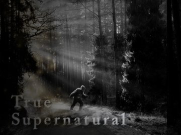 True Supernatural