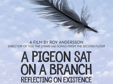 A Pigeon Sat on a Branch Reflecting on Existence