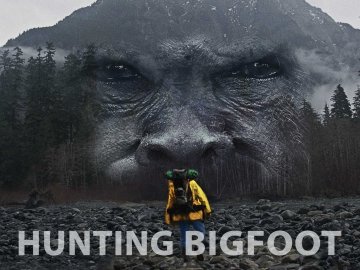 Hunting Bigfoot