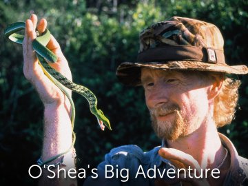 O'Shea's Big Adventure