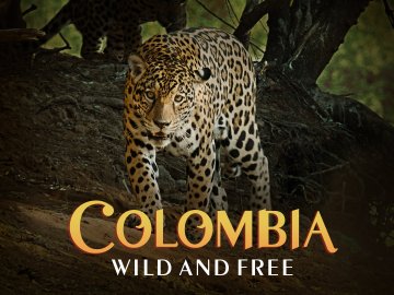 Colombia: Wild & Free