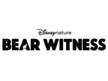 Bear Witness