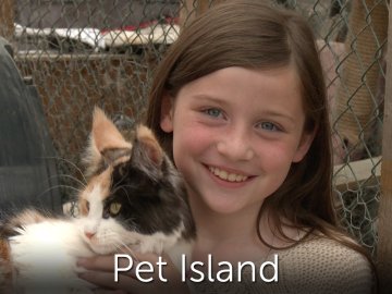 Pet Island