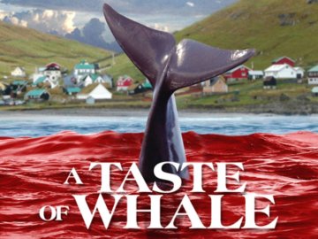 A Taste of Whale
