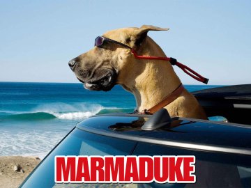 Marmaduke