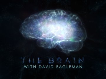 The Brain With David Eagleman