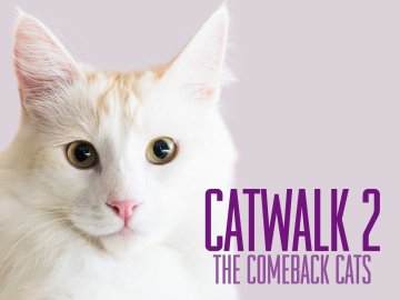 Catwalk 2: The Comeback Cats