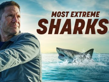 Most Extreme Sharks with Steve Backshall