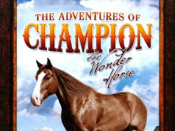 The Adventures of Champion