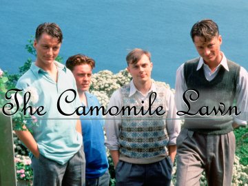 The Camomile Lawn