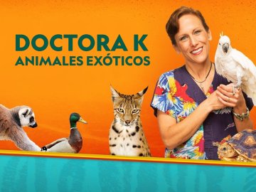 Dr. K's Exotic Animal ER