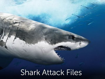 Shark Attack Files