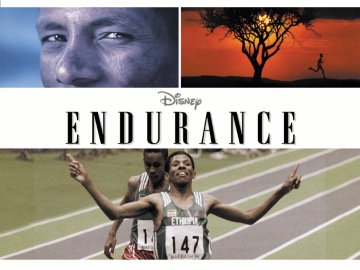 Endurance