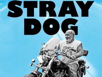 Stray Dog