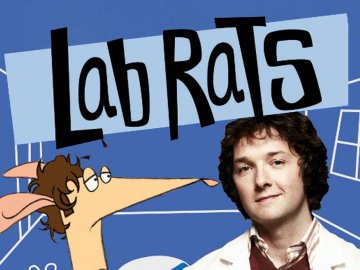 Lab Rats