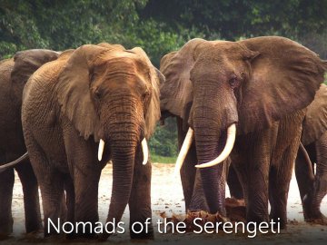 Nomads Of The Serengeti