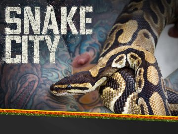 Snake City