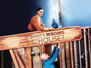 What's Wrong with That House?