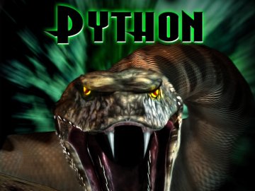 Python