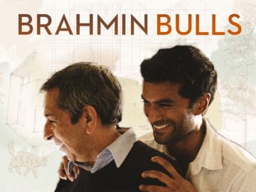 Brahmin Bulls