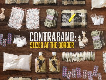 Contraband: Seized at the Border