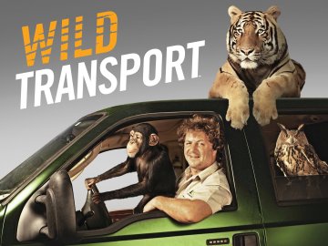 Wild Transport