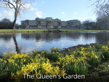 The Queen's Garden