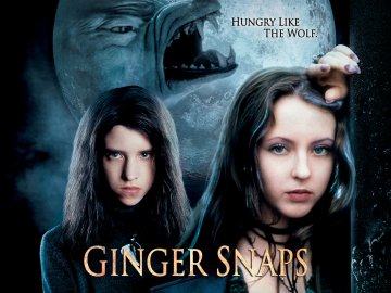 Ginger Snaps