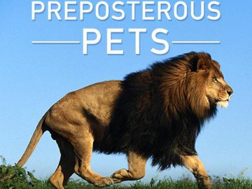Preposterous Pets