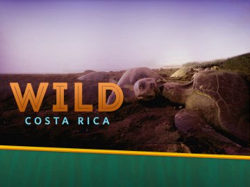 Wild Costa Rica