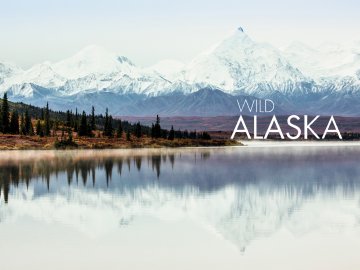 Wild Alaska