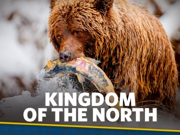 Kingdom of the North