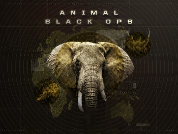 Animal Black Ops