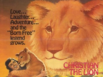 Christian the Lion