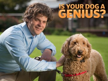 Is Your Dog a Genius?