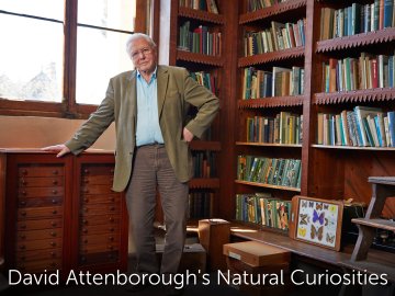 David Attenborough's Natural Curiosities