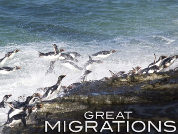 Great Migrations