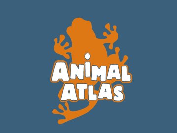 Animal Atlas