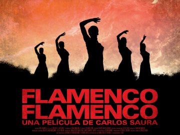 Flamenco, Flamenco