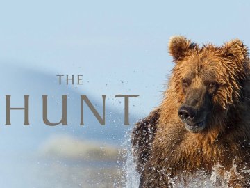 The Hunt