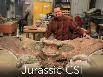 Jurassic CSI