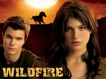 Wildfire